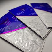 Crystal chips Pixie, Crystal Master Professional 1440pcs