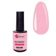 Molekula BASE Color Raspberry 12ml (raspberry)